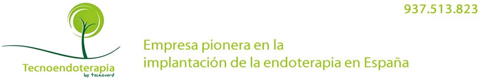 Tecnoendoterapia.com